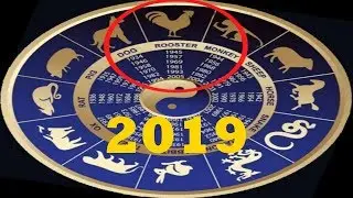 ГОРОСКОП НА 2019 ГОД ДЛЯ ПЕТУХА