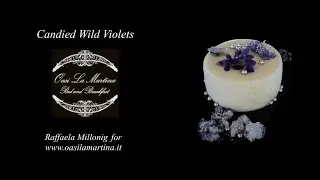 IN ENGLISH: Candied Wild Violets (From Raffaela Millonig's Recipe Book)