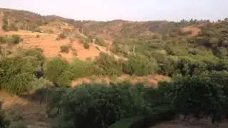 Quarteto Lacerda na Corte