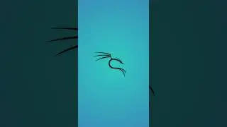 Phishing Attack Explained