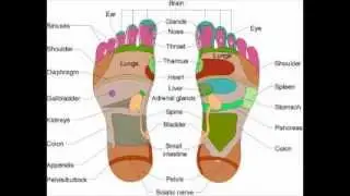 Cold Reality News: Dec 9th Energy Medicine Commercial Free