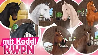 I'm buying the NEW KWPN 🐴 HORSE PURCHASE 🐴 Star Stable Online