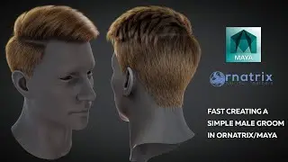 How fast create a simple male groom in Ornatrix / Maya