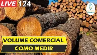 #LIVE 124 - Tutorial sobre volume comercial no inventário florestal