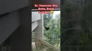 Butterfly Bawal Lumabas 😂