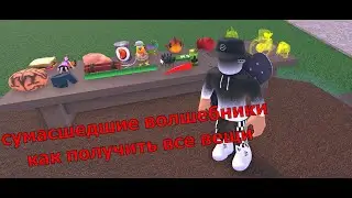 🎊🥳Как получить все вещи в сумасшедших волшебниках или Wacky Wizards [ROVRIK это потно было]🥳🎊