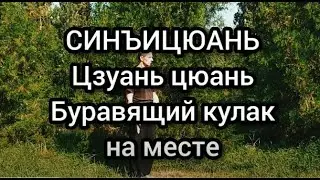 Синъицюань. Цзуань цюань. Буравящий кулак на месте