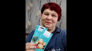 РАСПАКОВКА ❗ Что же мне пришло в посылке ❓ Готовимся к Огородному Сезону ❗