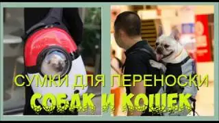 ПЕРЕНОСКИ  ДЛЯ  СОБАК.ПЕРЕНОСКИ ДЛЯ КОШЕК.(рюкзаки,сумки,чемоданы)
