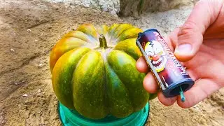 EXPERIMENT Underground Hatch vs Pumpkin and Cola fountain