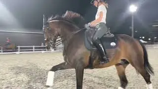 Siggy training in Tokyo part 2