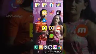 Como ganhar até 100 seguidores no Tik Tok