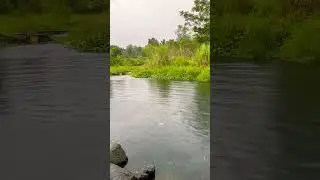 Beautiful river