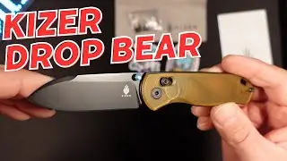 100% DO NOT Buy Another Knife Until You Get a Kizer Drop Bear!!