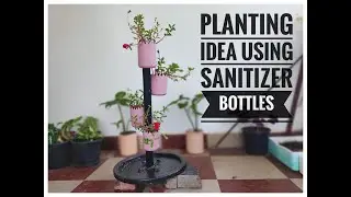 Planting Idea With Sanitizer Bottles 😍 |