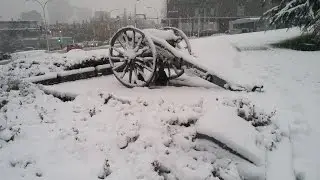 Snowfall - Beauty of White Canada - Vancouver