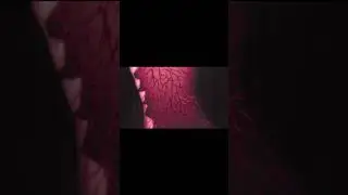 что это за аниме??