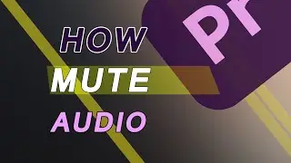 How to mute or remove audio premiere pro