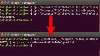 How to Copy a File to Multiple Directories With One Command in Linux