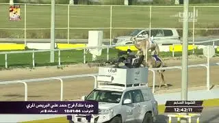 ملخص أشواط الثنايا العامة بالمحلي السابع (صباح) ٢١-٢-٢٠٢٠