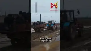 Дети в порядке. А вот у взрослых будут проблемы.