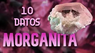MORGANITA - [10 Datos Que Seguro Desconoces]
