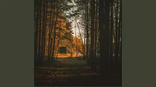 Рисуя