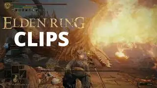 elden dong clips
