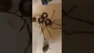 не плох энергомер!