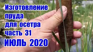 Изготовление пруда для осетра (часть 31) ИЮЛЬ 2020