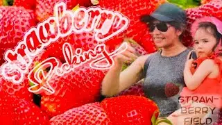Picking Strawberries (Erdbeeren pflücken) pinay in Germany