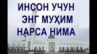 Инсон учун энг муҳим нарса нима