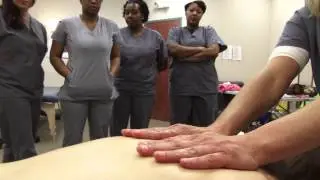 About the Massage Therapy Program at Antonelli College