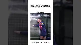 Smooth Reverse Transition Tutorial CapCut