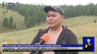 “Степ Голд” ХХК 10 жилийн хугацаанд 10 сая мод тарих зорилго тавиад байгаа