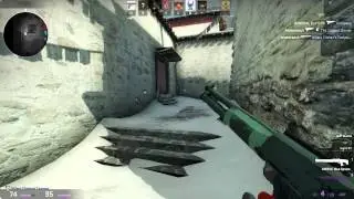Counter Strike Asshole Talks Shit