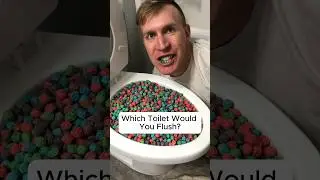 Experiment Eating JUNK FOOD and Flushing it in the Toilet 