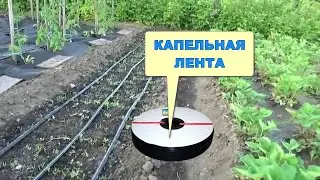Система Капельного Полива Растений