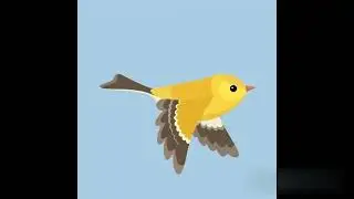 birds animation