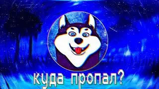 куда пропал дога дог