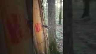 Нож