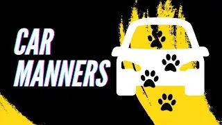 Sunshine the Service Dog in Training Works on Her Car Manners