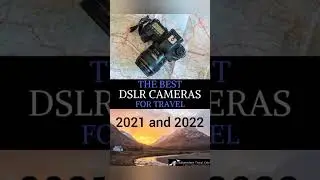 Best beginner DSLR cameras 2021:2022: the top entry-level choices for new photographers
