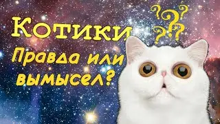 2021 03 03 22 35