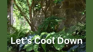 Keep Your Plants Cool  Beat the Heat Stress