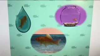 Elmo’s World: Fish Quiz