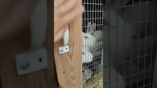 БЕГОМ ПО ХОЗЯЙСТВУ🏃‍♀️