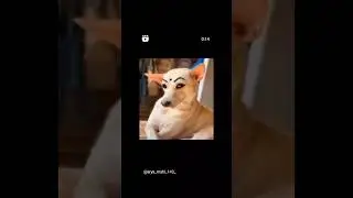 🤣🤣🤣🤣