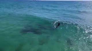 EVEN WHEN tiny, WATEGO's IS FUN!