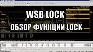 Обзор функции Lock. Wall Street Bot Lock. WSB Lock